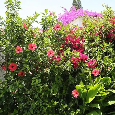 Βίλα Beautiful La Caracola Heated Pool Puerto Banus Μαρμπέλλα